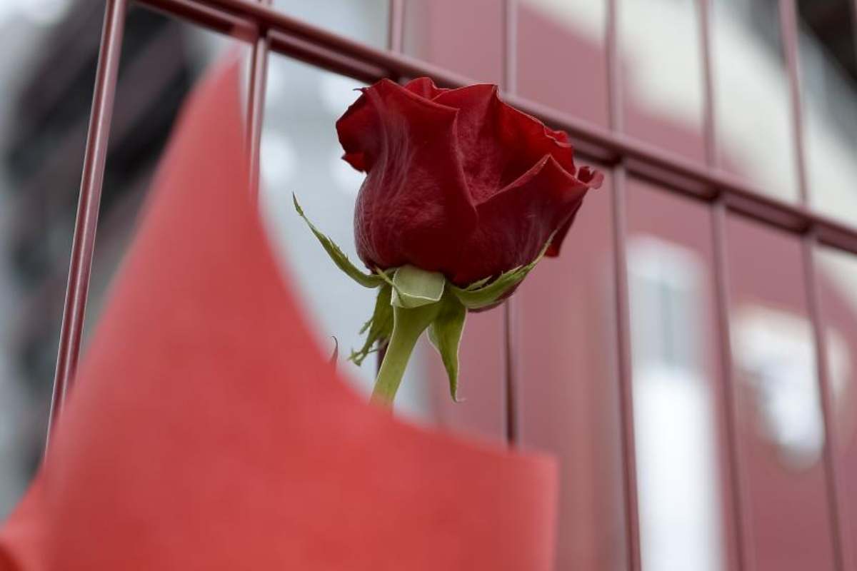 Fiore lutto